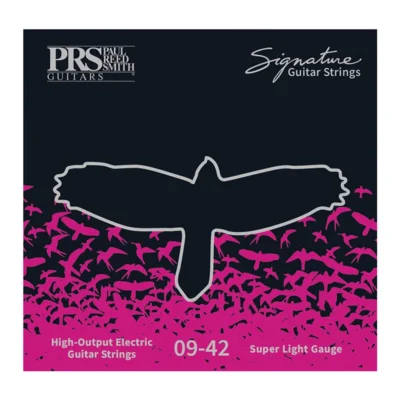 سیم گیتار پی آر اس مدل PRS Signature Series 9-42