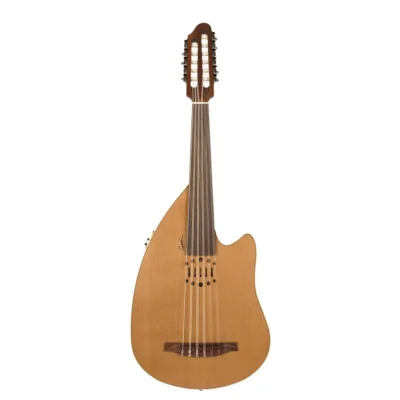 عود Godin Multiac Multioud Encore Nylon SG