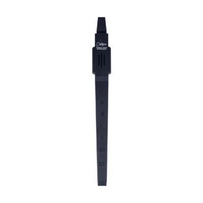 فلوت-ریکوردر-الکتریکی-بلک-استار-مدل-Blackstar-Carry-on-Black-4