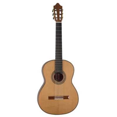 گیتار کلاسیک Martinez ES-10C