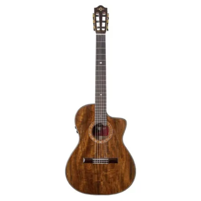 گیتار کلاسیک پیکاپ دار Martinez MP14OV