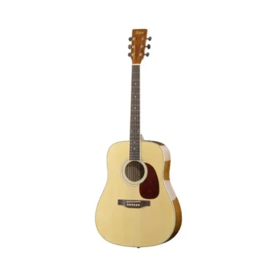 گیتار آکوستیک Hofner D01 NT