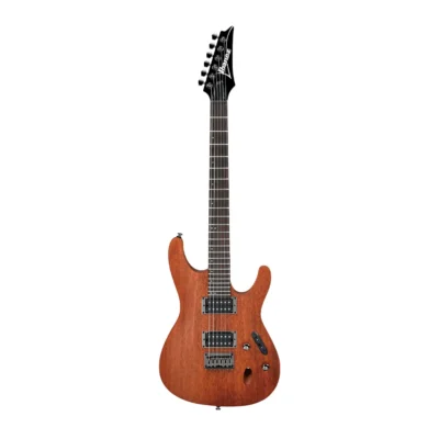 گیتار الکتریک Ibanez S521-MOL
