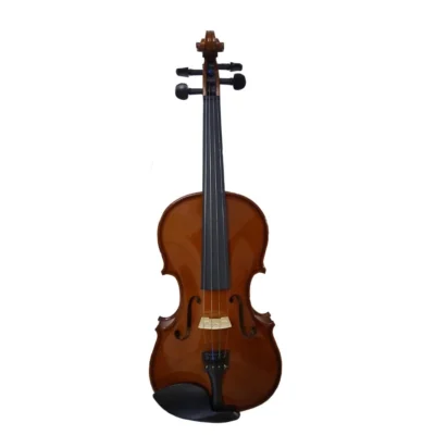 ویولن Hofner H115 AS V44